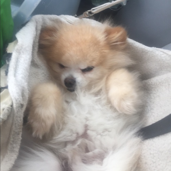 Meet your Posher, Megan - Picture 1 of 1